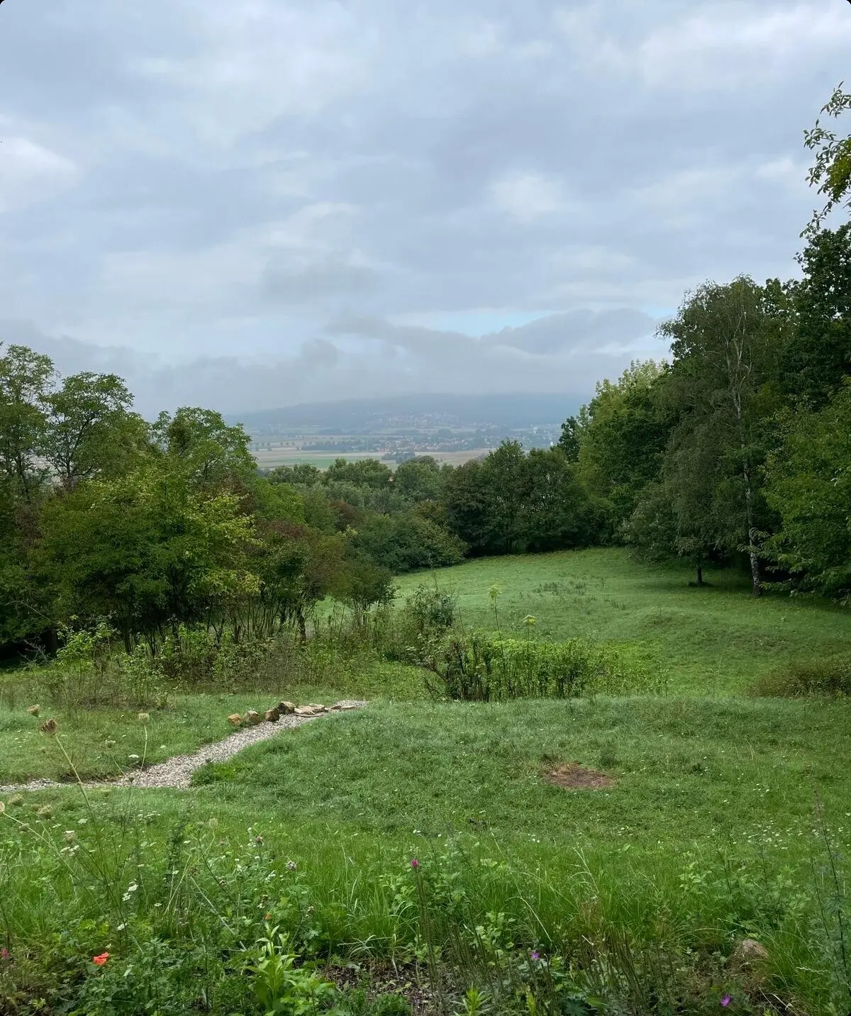 Wiese vor der Hütte | © DAV