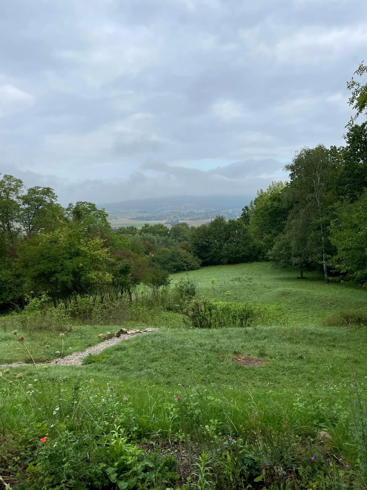 Wiese vor der Hütte | © DAV