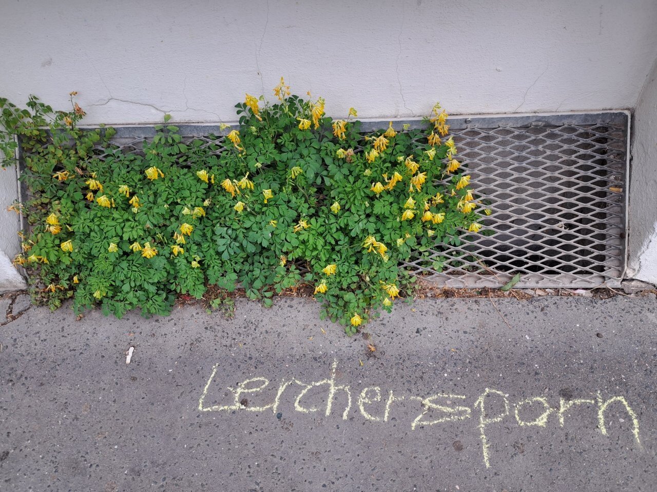 © Sabine Behrens