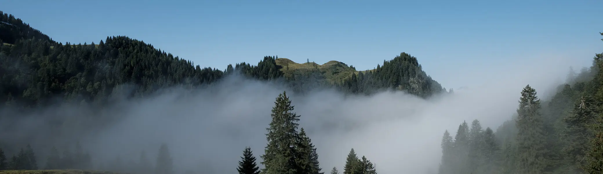 Baumgruppe im NebelEine Wandergruppe läuft durch ein nebelverhangenes Tal im Chiemgau. | © DAV/Hans Herbig